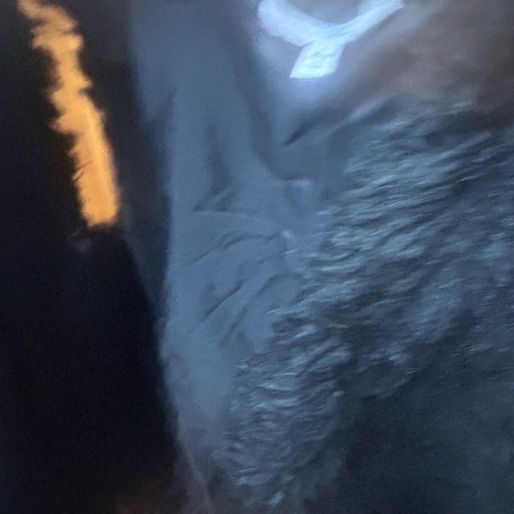 Vest - Picture 4 of 5